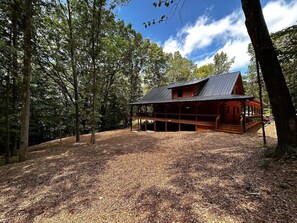 A cabin with a metal roof, surrounded by trees, and a covered porch area.