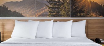 Days Inn by Wyndham Salisbury, NC