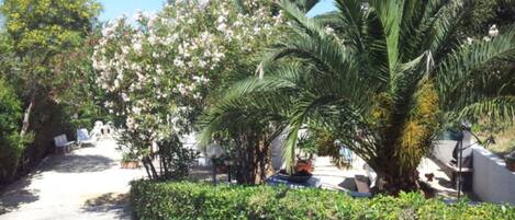 Overnattingsstedets uteområder