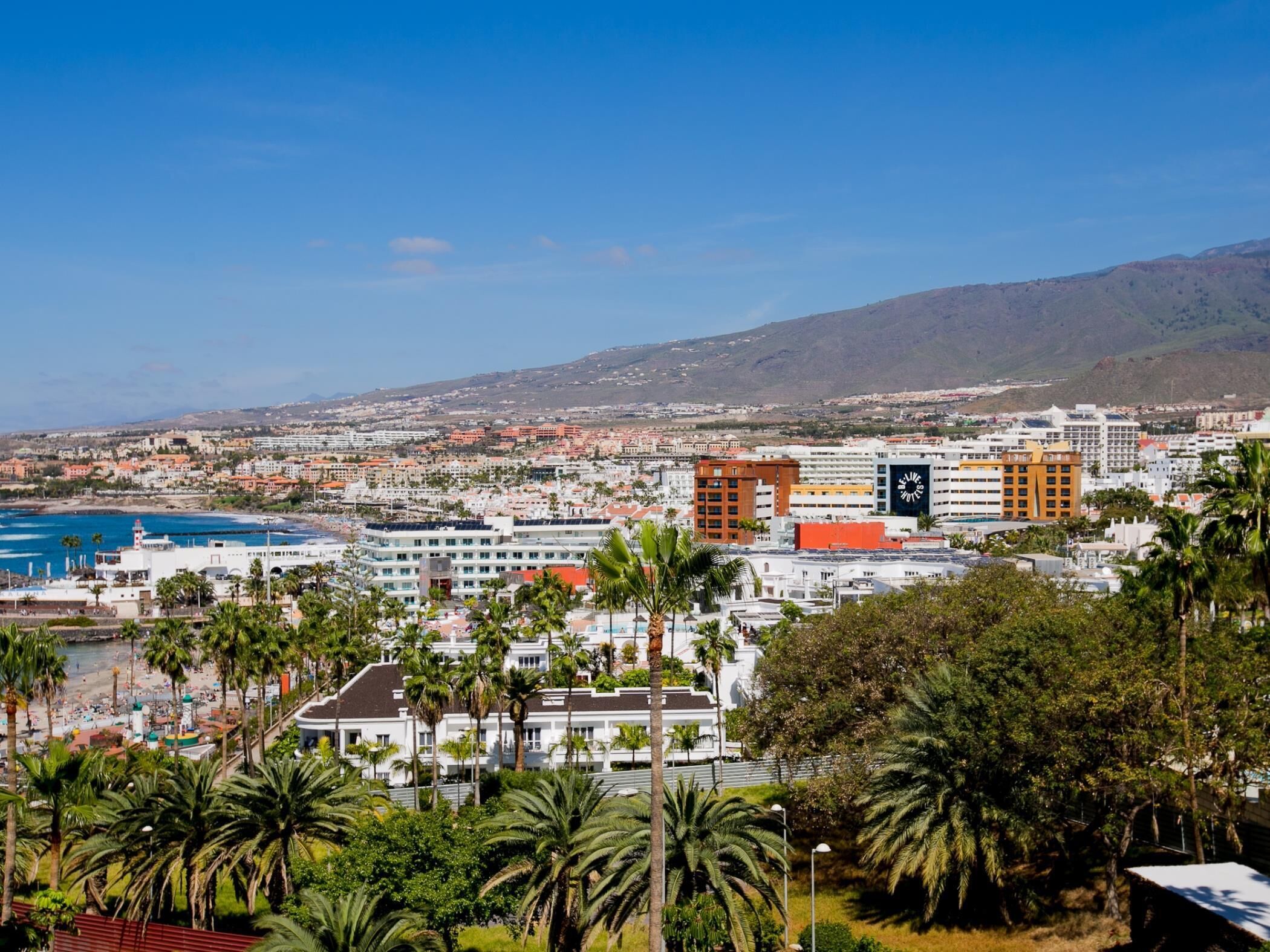 A coastal cityscape with a beach, palm trees, and a mix of modern and traditional buildings.