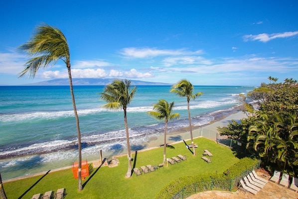 A beach view with palm trees, a grassy area with lounge chairs, and a clear blue sky.