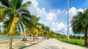 A paved walkway lined with palm trees and benches, leading to a body of water.