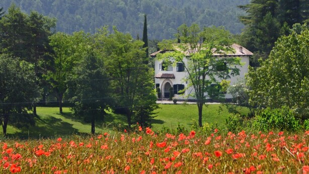 Ein weißes Gebäude mit Ziegeldach, umgeben von üppiger Vegetation und einem Feld roter Blumen.