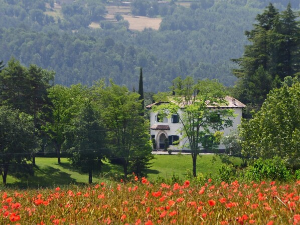 Exterior - La Torre del Dr. Pont. Nature and entertainment. (Sant Boi de Lluçanès)