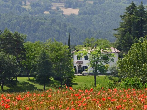 La Torre del Dr. Pont. Nature and entertainment.
