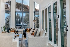 Televisión, chimenea y reproductor de DVD 