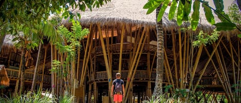 A bamboo structure with a thatched roof, surrounded by greenery.