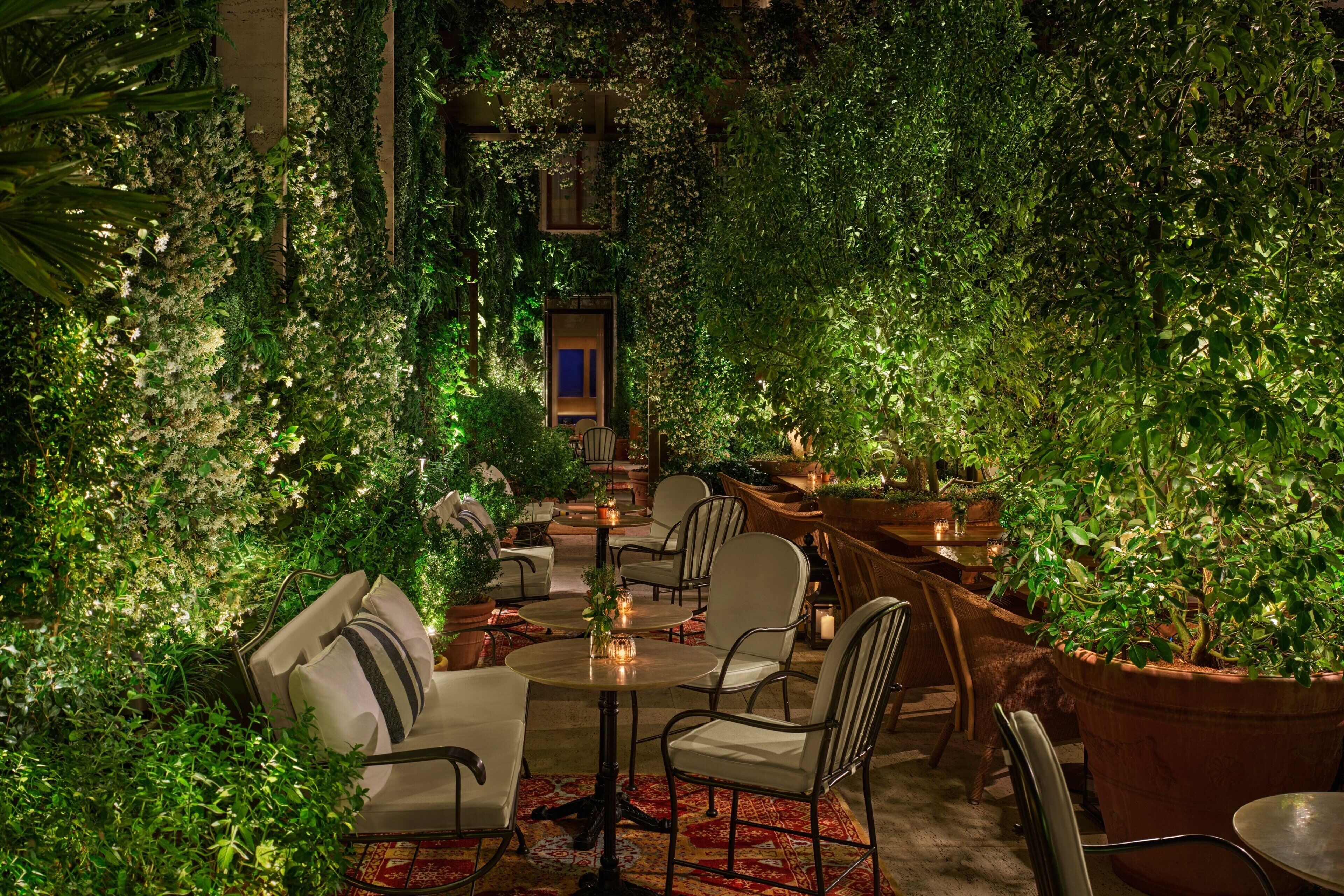 3 bares o lounges, bar de cocteles, bar de cocteles 