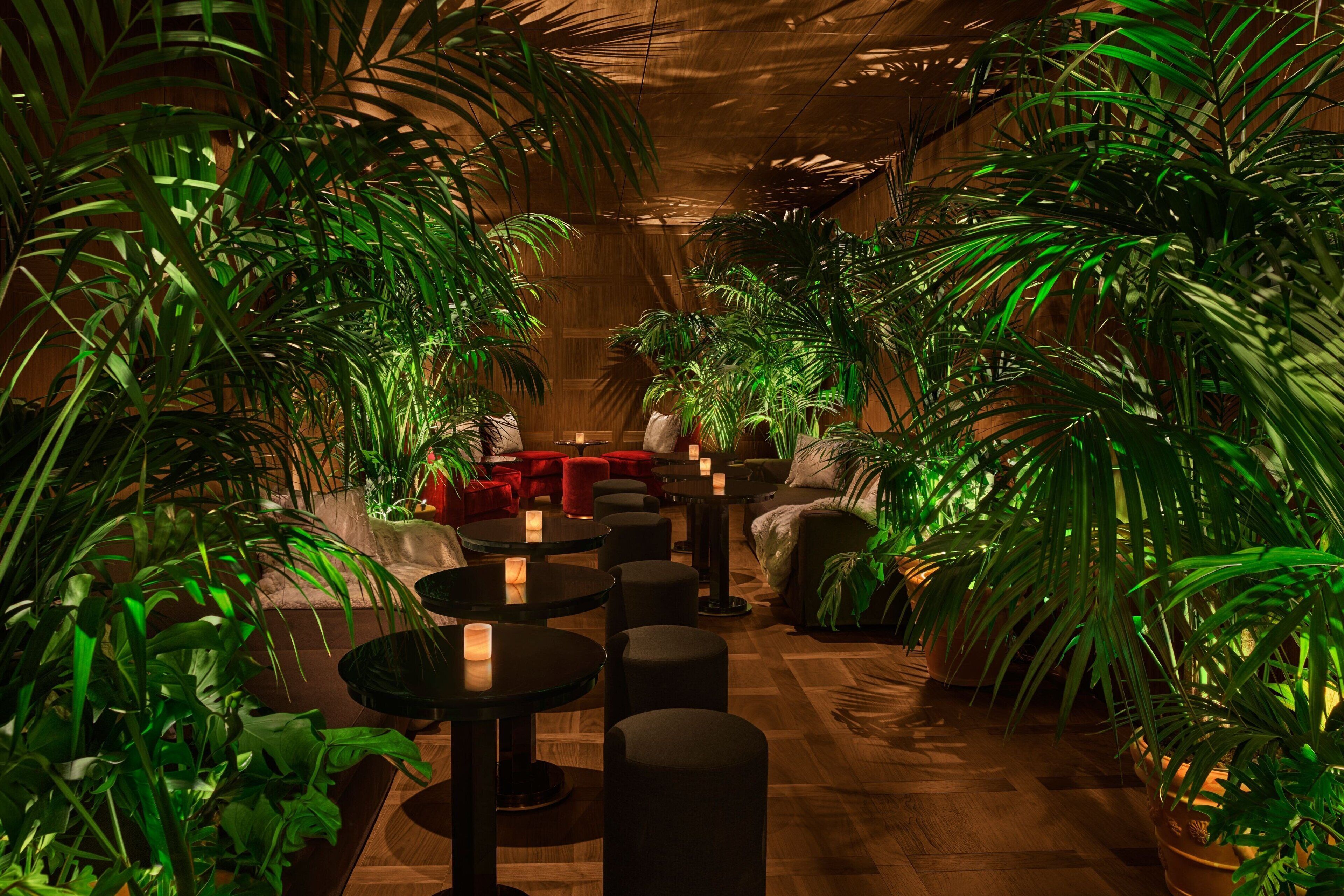 3 bars, bar à cocktails, bar à cocktails