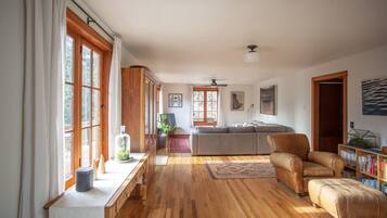 Smart TV, chimenea, libros y biblioteca musical