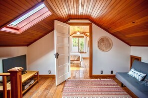 Smart TV, fireplace, books, music library