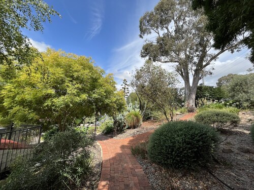 Studio At the Back of Mount Taylor