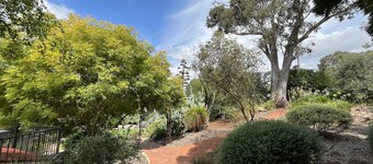 Studio At the Back of Mount Taylor