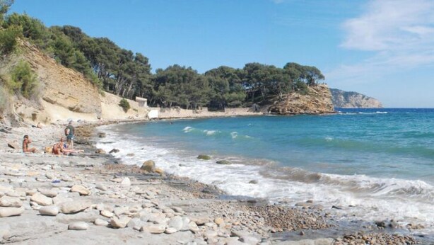 Une plage rocheuse avec des vagues, une falaise bordée d’arbres et un ciel dégagé.