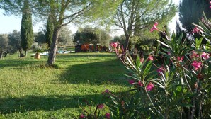 Un jardin luxuriant, avec différentes espèces d’arbres et de plantes à fleurs.