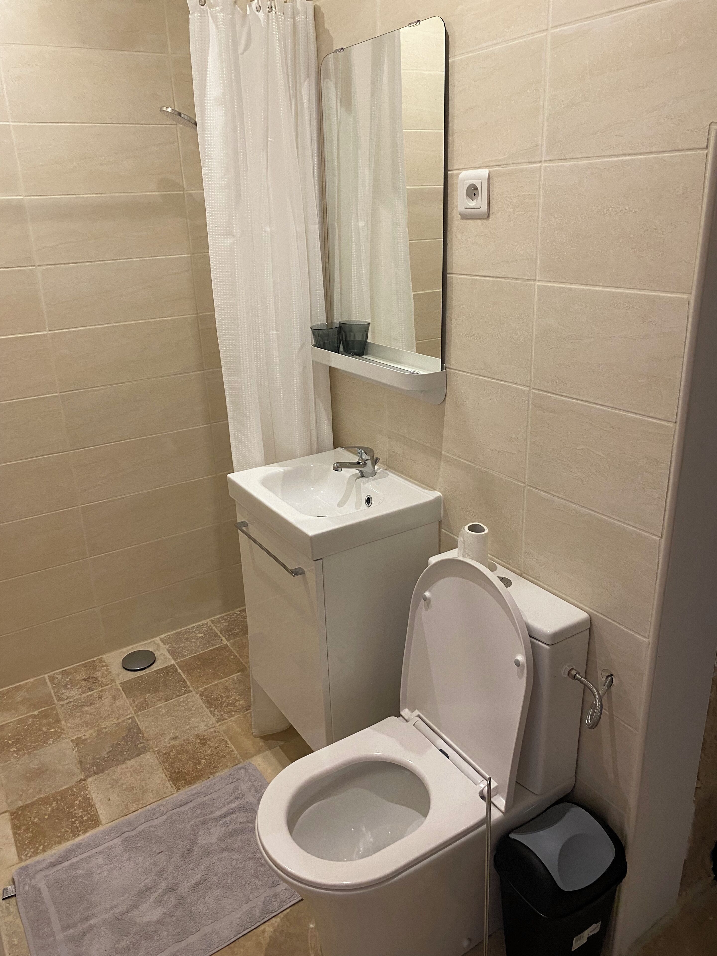 Un baño con inodoro, lavamanos y espejo.
