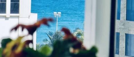 Studio Deluxe | Bộ đồ giường cao cấp, trang trí khác biệt