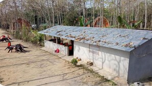 Un edificio pequeño de una sola planta con techo de lámina corrugada, base de concreto y un pequeño porche con dos sillas.