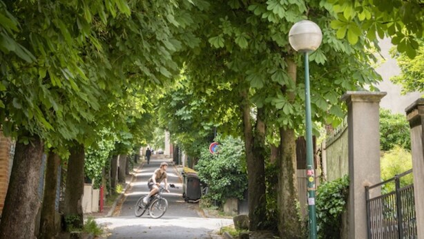 En smal gata kantad av träd och en cyklist.