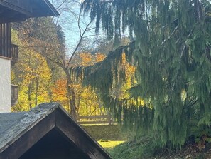 Àrea exterior de l'allotjament