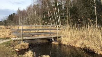 Àrea exterior de l'allotjament