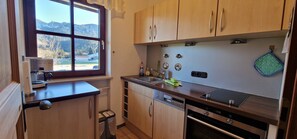 Kühlschrank, Ofen, Herdplatte, Geschirrspüler