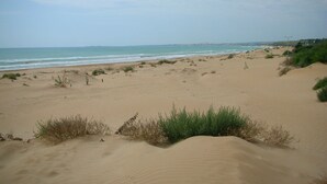 Ein sandiger Strand mit sanften Wellen und spärlicher Vegetation.