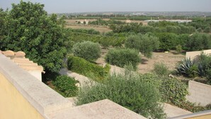 Blick auf einen angelegten Garten mit verschiedenen Pflanzen und Bäumen, einem Weg und einer entfernten Stadtansicht.