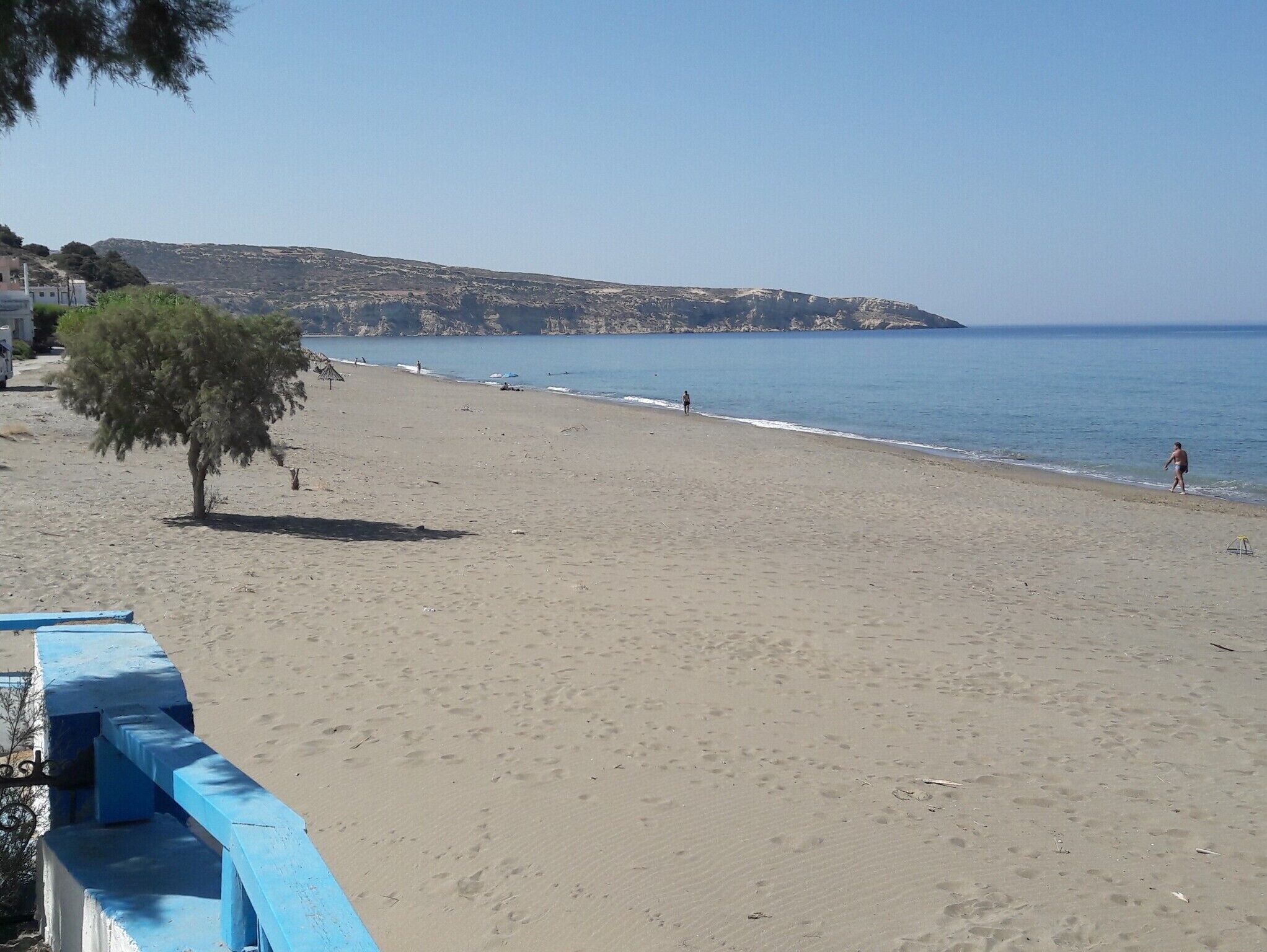 A beach with a clear sky, a few people, and a tree.