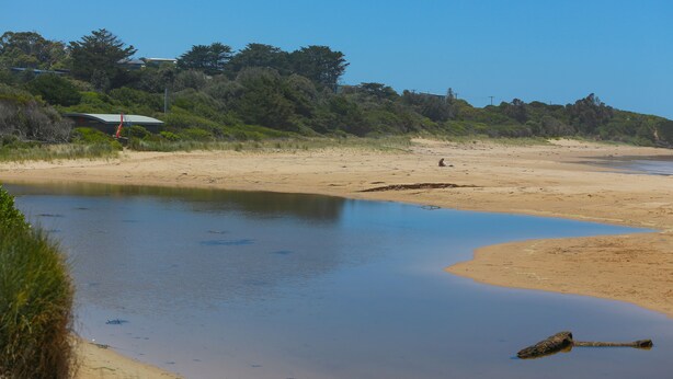 A beach with a calm water body, sandy shore, and a building with a green roof in the background.