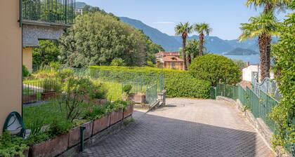 Swan Lake by Wonderful Italy