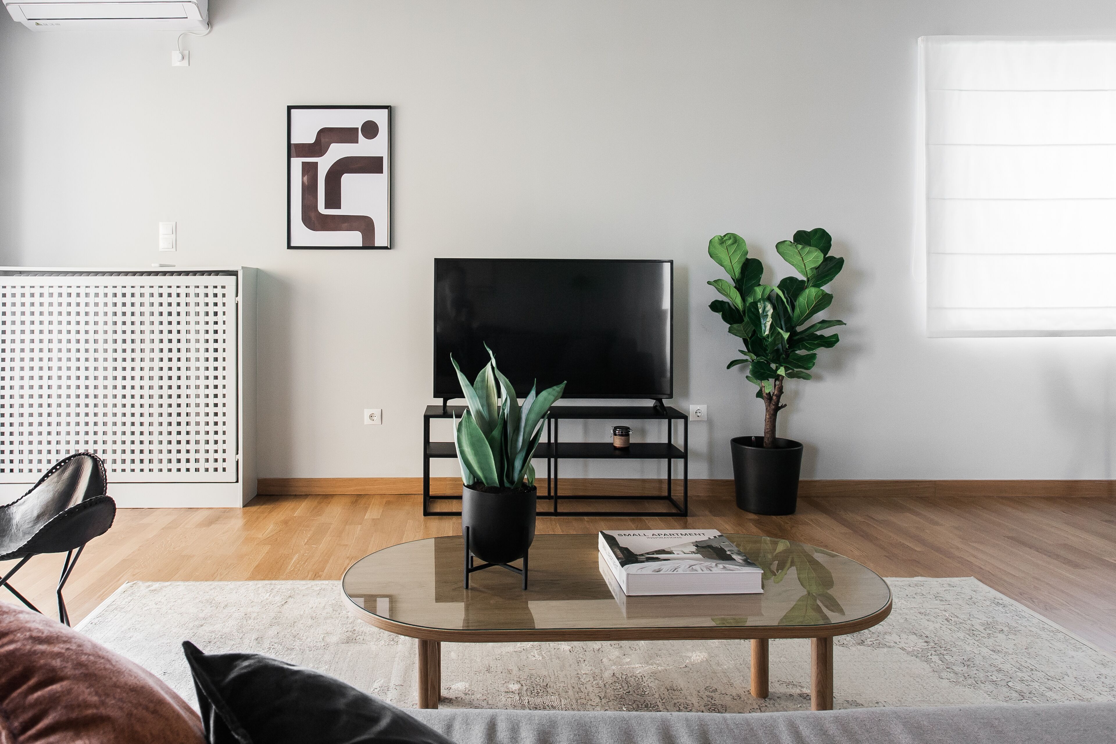 A modern living room with a glass coffee table, a black sofa, a black TV stand, and two potted plants.