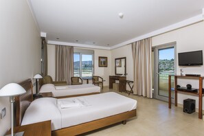 Double Room with Mountain View | Caja fuerte, sistema de insonorización, wifi gratis y ropa de cama
