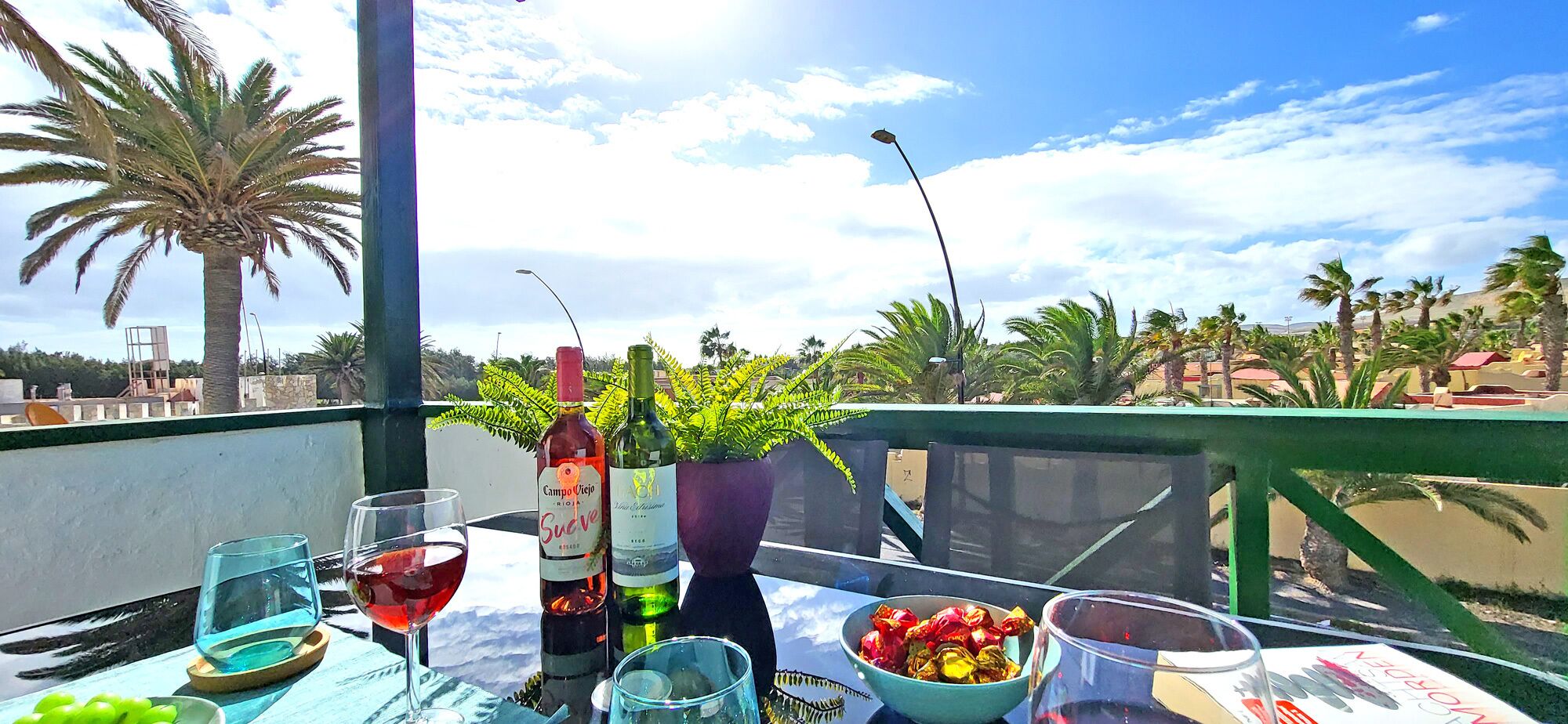 A table with a bottle of Campo Viejo Rijo wine, a glass of red wine, a bowl of fruit, and a green plant in a pot.