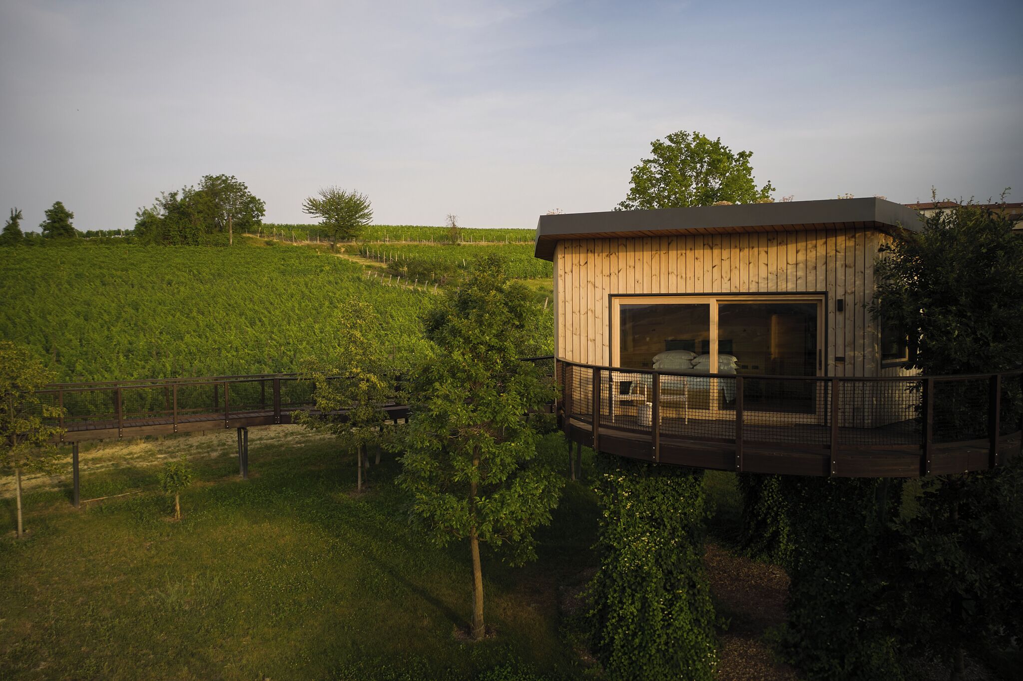 A wooden cabin with a balcony, surrounded by a vineyard and trees.