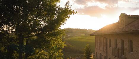 A building with a brick exterior and a balcony overlooking a vineyard.