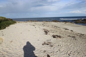Plage, chaises longues