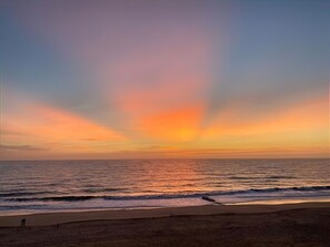 Beach - OCEAN FRONT CONDO. ENJOY YOUR MORNING COFFEE SITTING ON YOUR PRIVATE BALCONIES WATCHING THE SUNRISE. (Rehoboth Beach)