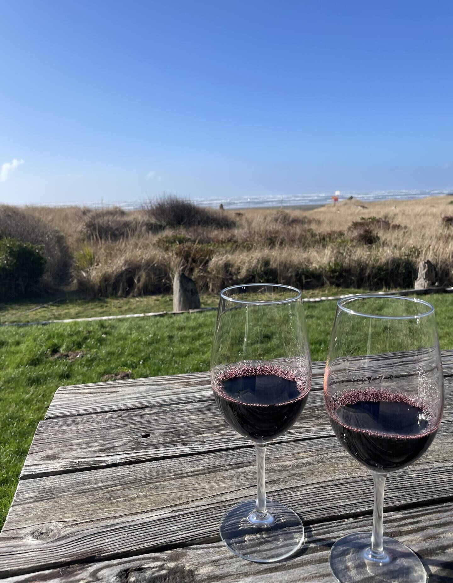 Deux verres à vin sur une table en bois, avec un champ verdoyant et une vue sur l’océan en arrière-plan.