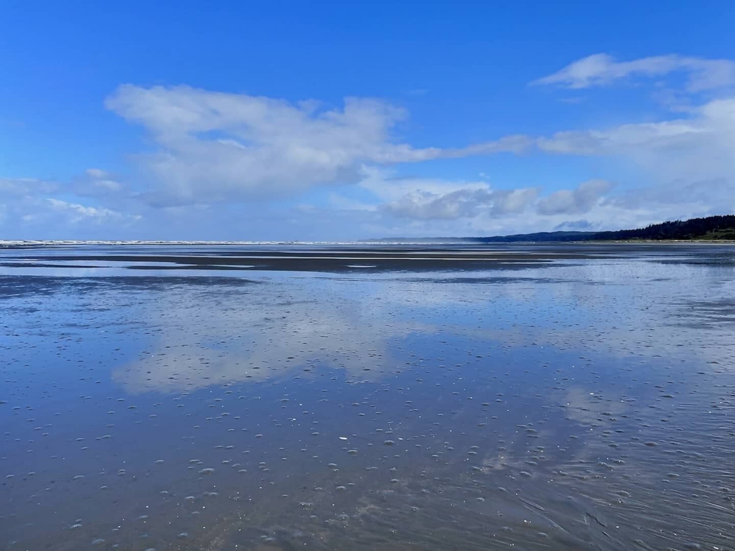Une plage avec du sable humide et un ciel dégagé.
