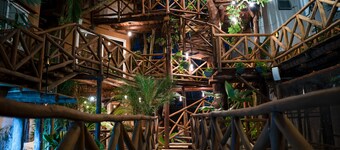 Mystic Town in the Heart of Playa 