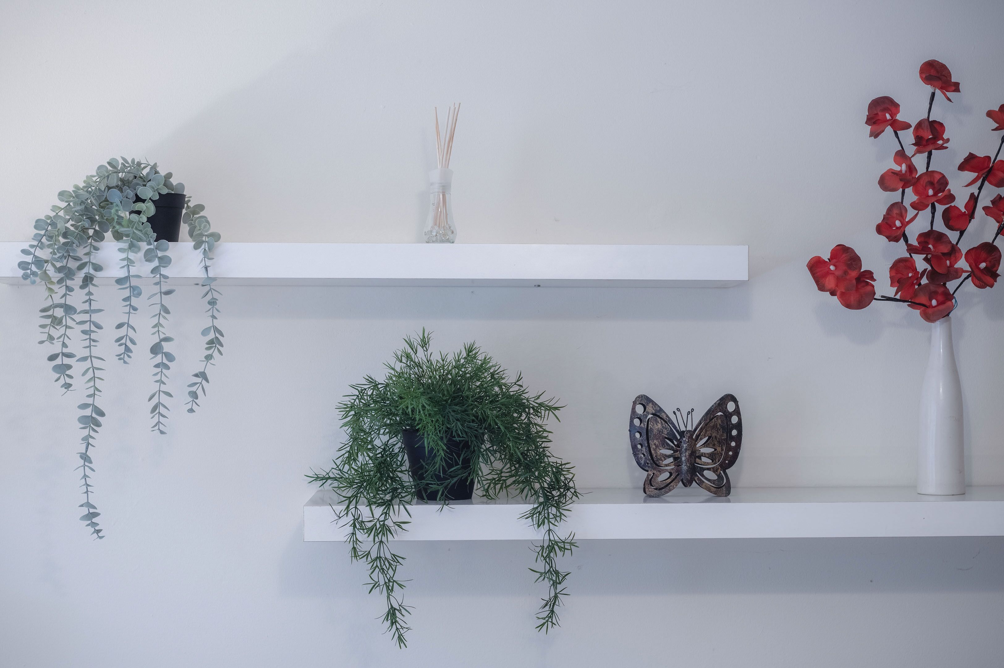 Two white shelves with plants and decorative items.