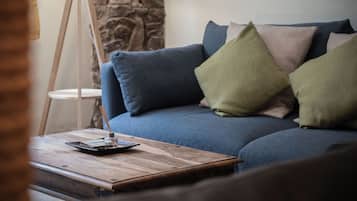 Standard Apartment | Living area | Flat-screen TV, fireplace
