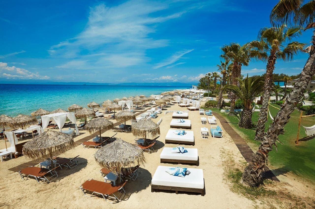 A beach resort with rows of sunbeds and umbrellas, palm trees, and a clear view of the ocean.