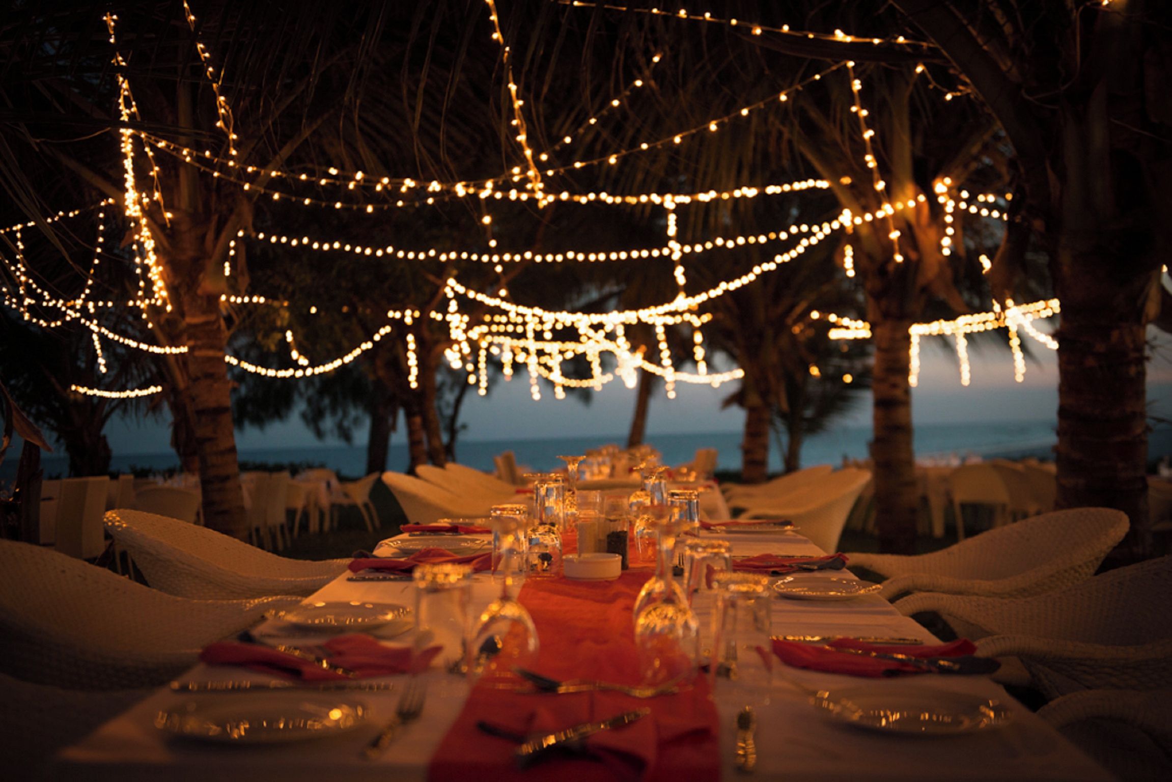 A table set for a meal with string lights overhead, palm trees, and a view of the ocean.