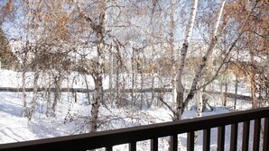 Schneebedeckte Landschaft mit Birken und einem Holzzaun.