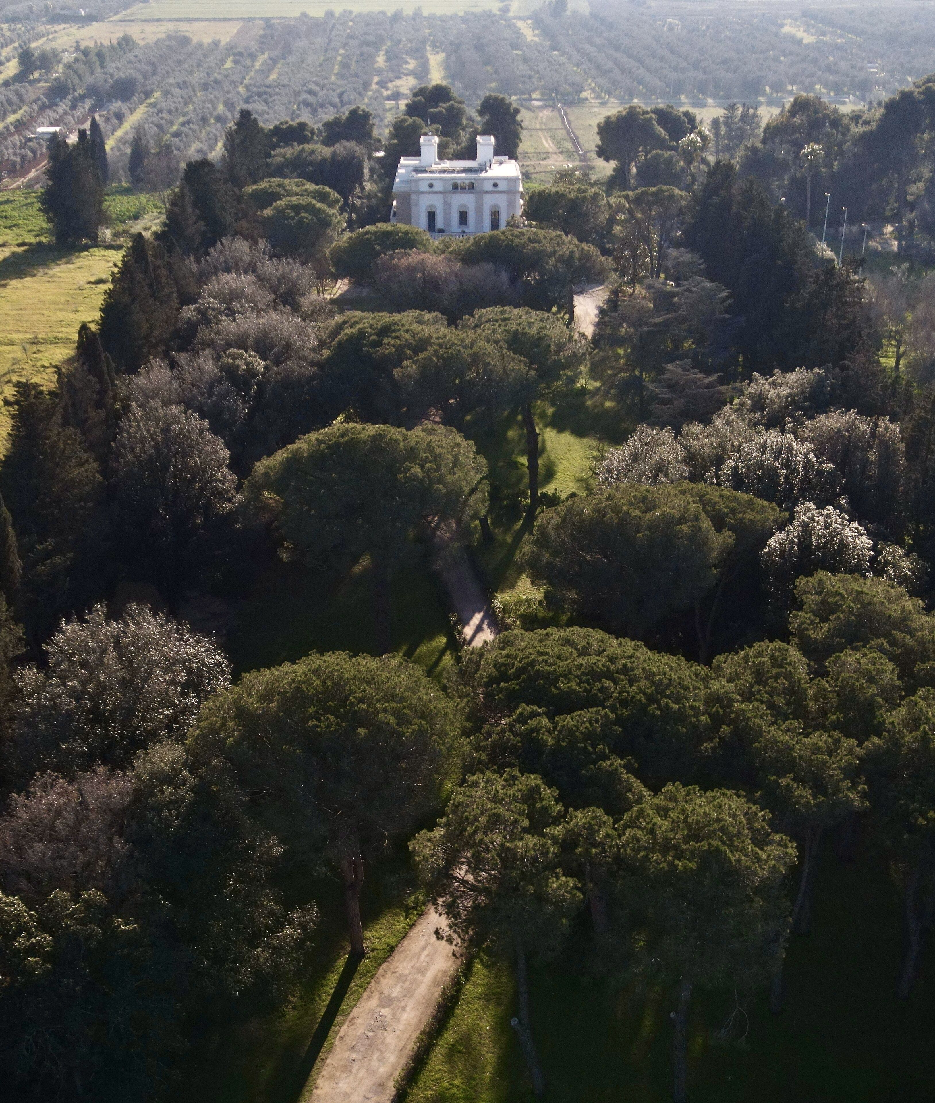 Une vue aérienne d’un vaste domaine, avec un imposant bâtiment blanc entouré d’une végétation luxuriante et un chemin dégagé menant à celui-ci.