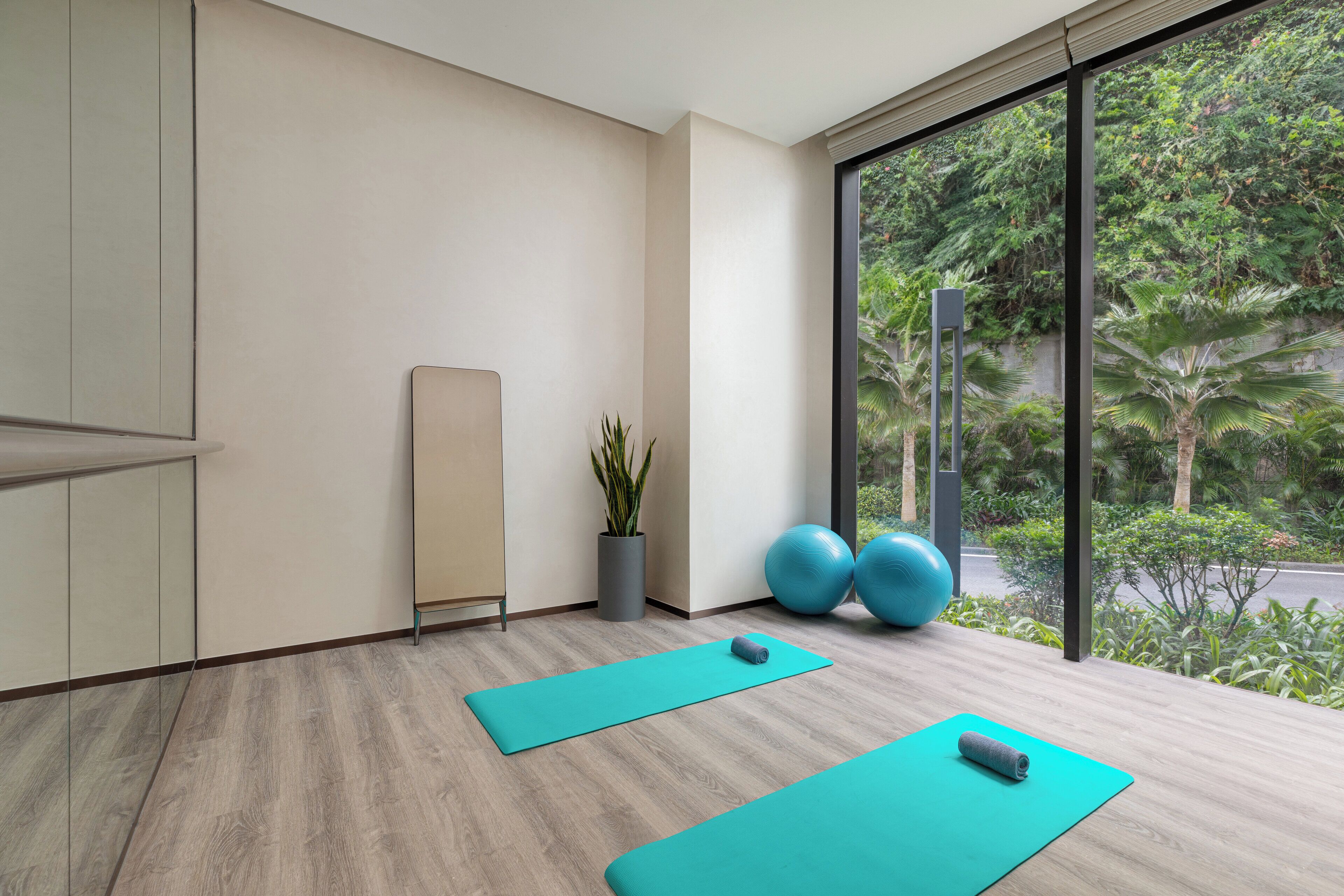 A modern room with large windows, a yoga mat, a yoga ball, and a potted plant.