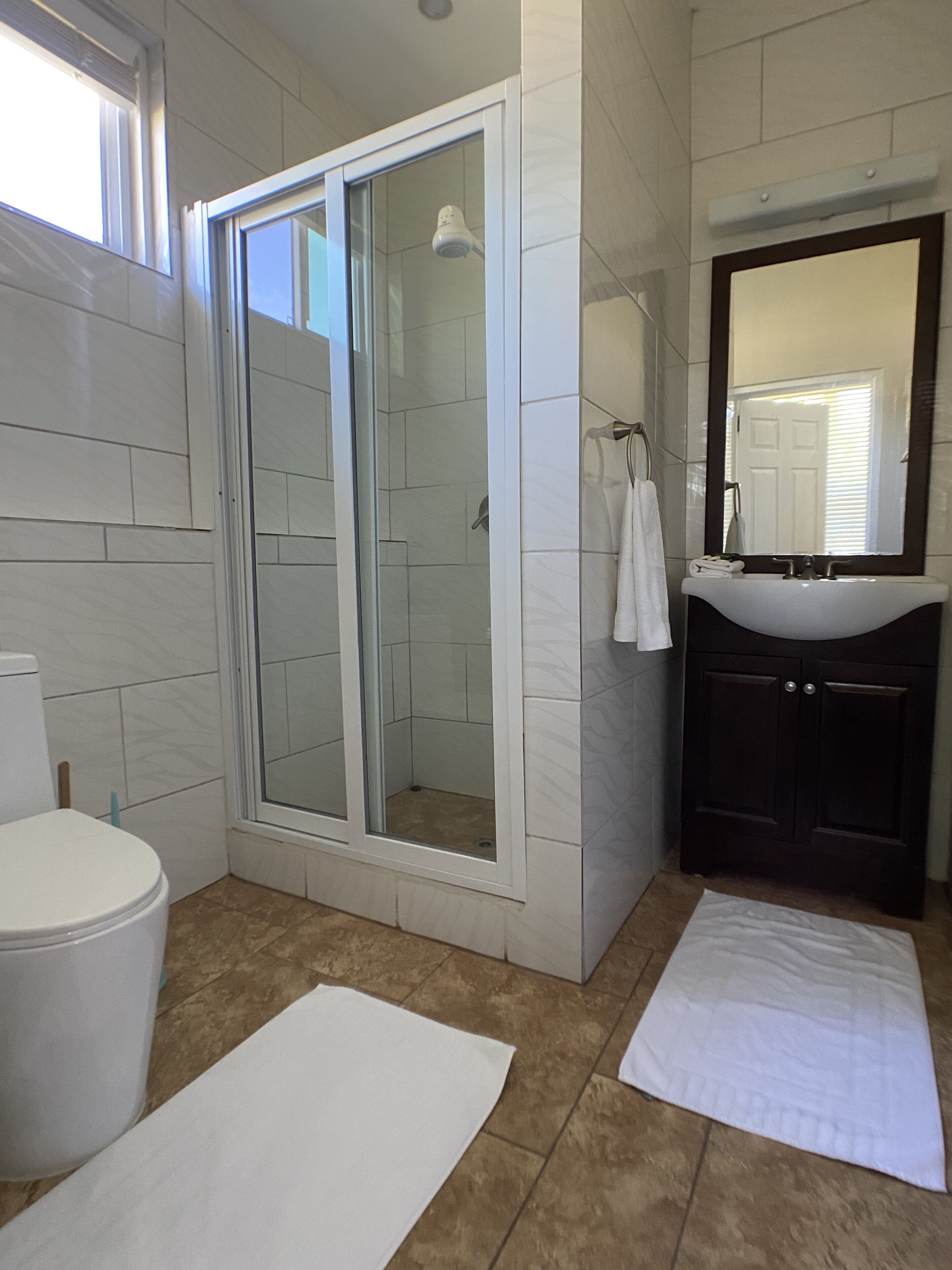 A bathroom with a glass-enclosed shower, a white sink, and a mirror above it.