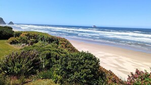 Une plage avec des vagues, de la végétation et un ciel dégagé.
